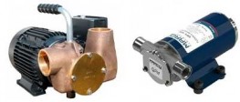 Flexible rotor bilge pumps
